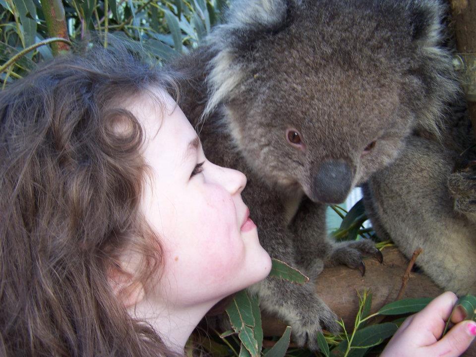 Fauna Australia Wildlife Retreat Lavers Hill Екстер'єр фото