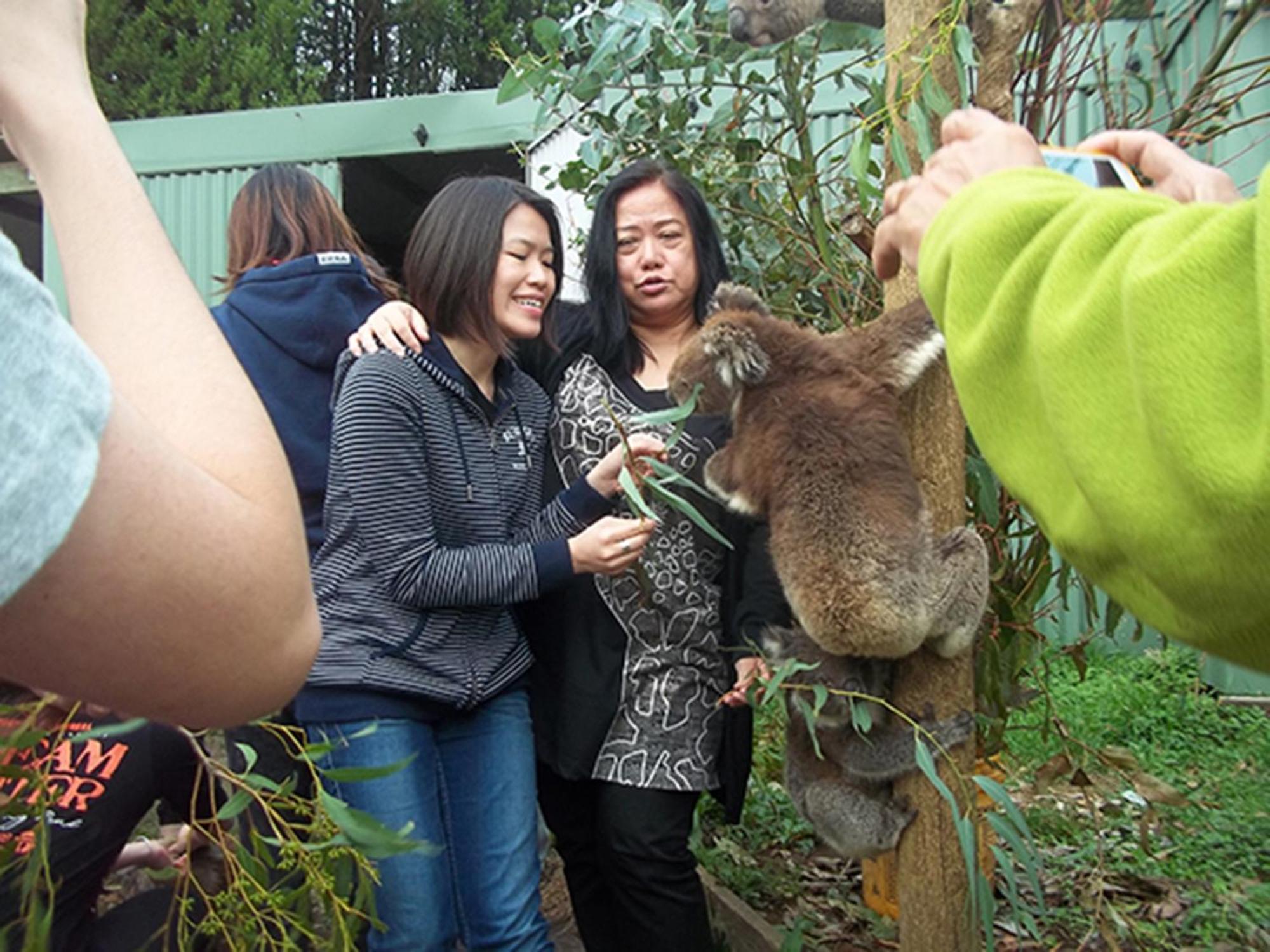 Fauna Australia Wildlife Retreat Lavers Hill Екстер'єр фото