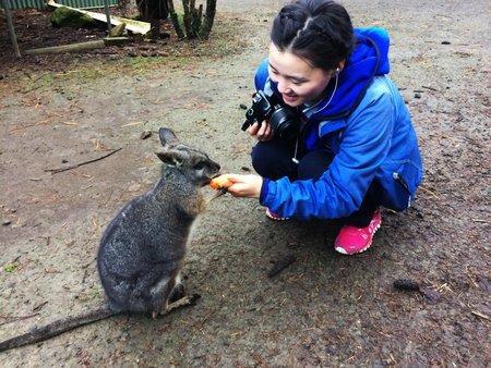 Fauna Australia Wildlife Retreat Lavers Hill Екстер'єр фото