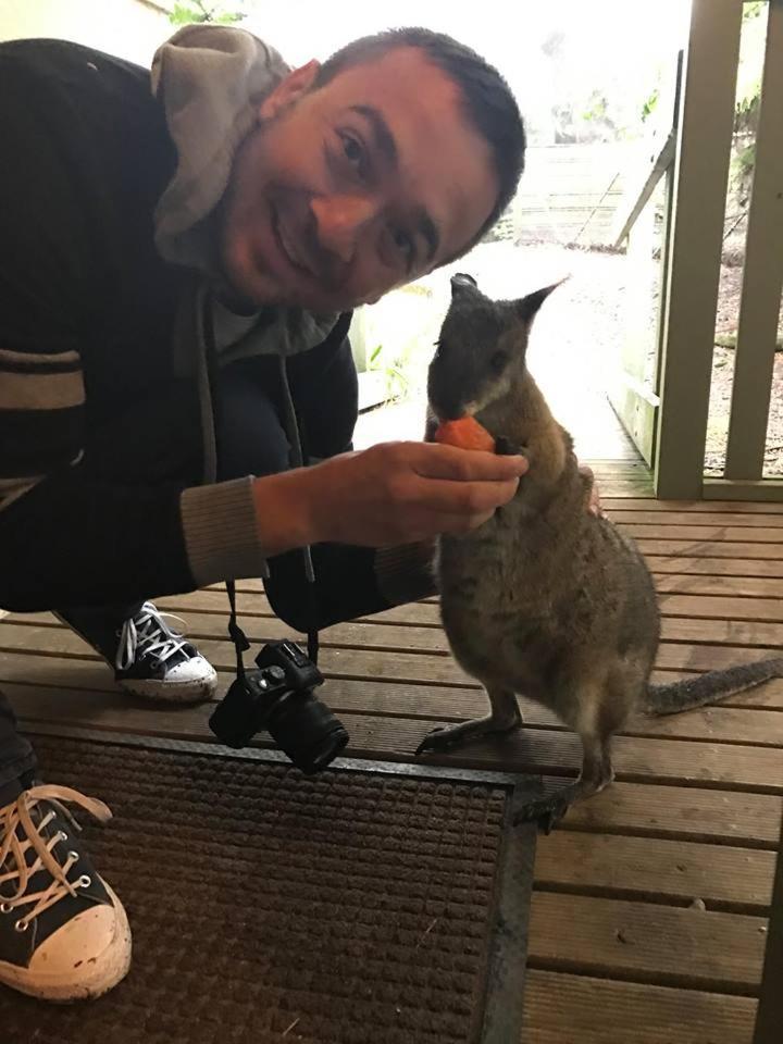 Fauna Australia Wildlife Retreat Lavers Hill Екстер'єр фото