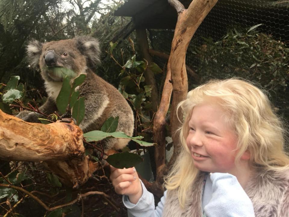 Fauna Australia Wildlife Retreat Lavers Hill Екстер'єр фото